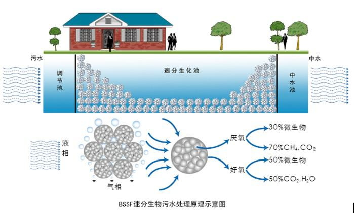 废水生物处理的基本原理-乐中环保