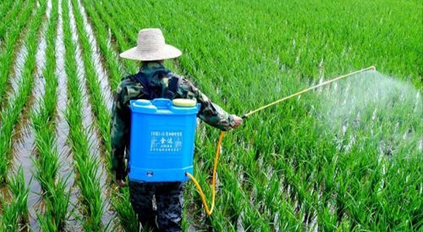 农药污水应该怎样处理-污水处理流程-乐中环保