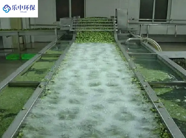 蔬菜清洗厂一体化污水处理设备工艺流程
