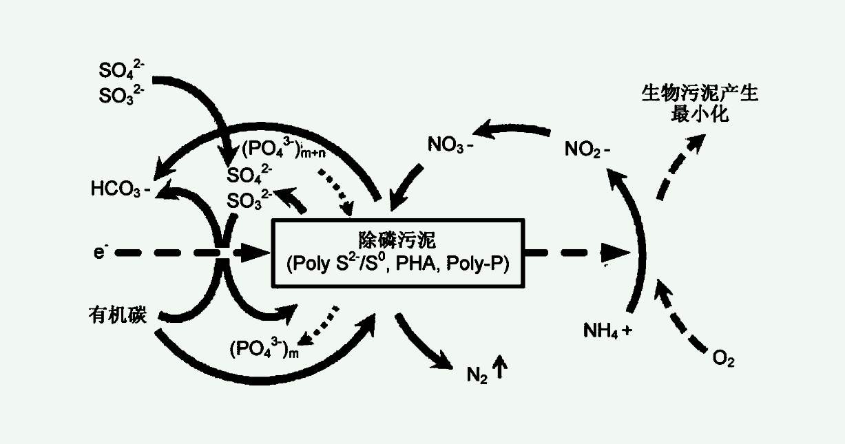 四种主要的生物脱氮工艺（生物脱氮的过程及原理）