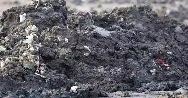 污水处理厂污泥脱水间(污泥脱水车间工作原理) 污水处理厂污泥脱水间(污泥脱水车间工作原理)