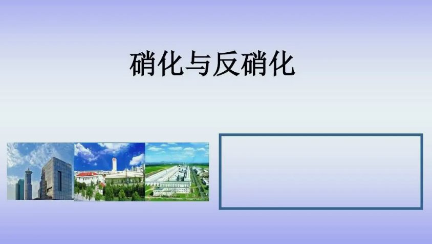 硝化反硝化过程原理介绍(反硝化和硝化的区别宰哪里) 硝化反硝化过程原理介绍(反硝化和硝化的区别宰哪里)