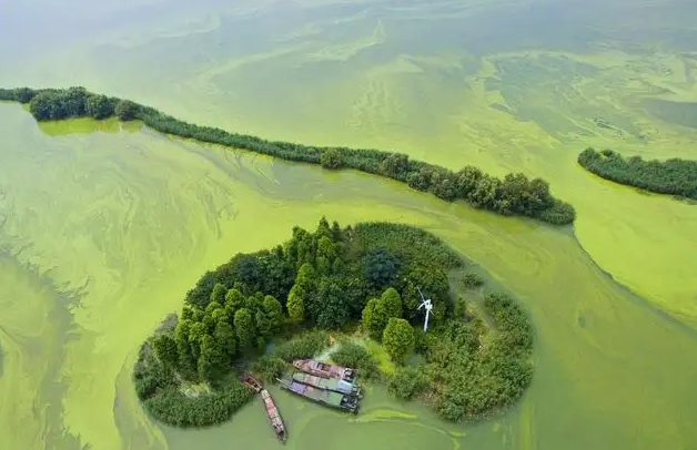 湖泊富营养化是什么原因(附相关处理方案) 湖泊富营养化是什么原因(附相关处理方案)