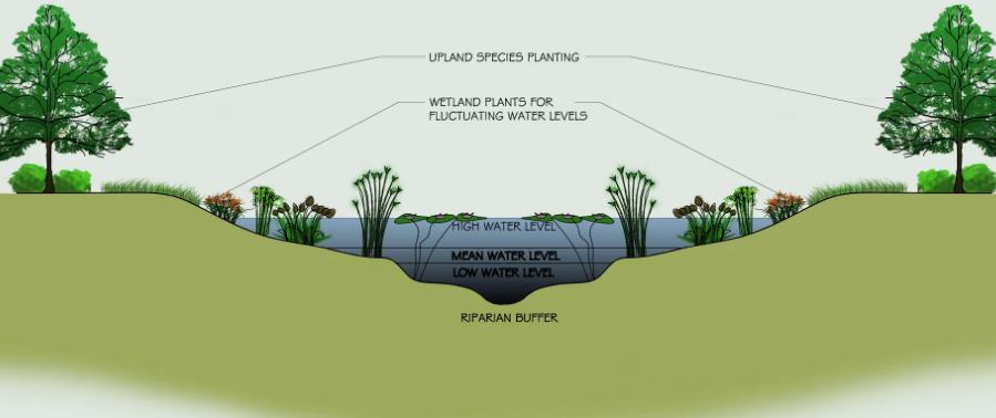 人工湿地污水处理技术的优点及原理（什么是人工湿地）