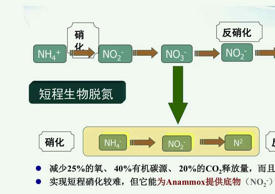 反硝化反应是指什么（污水硝化反应与反硝化原理）