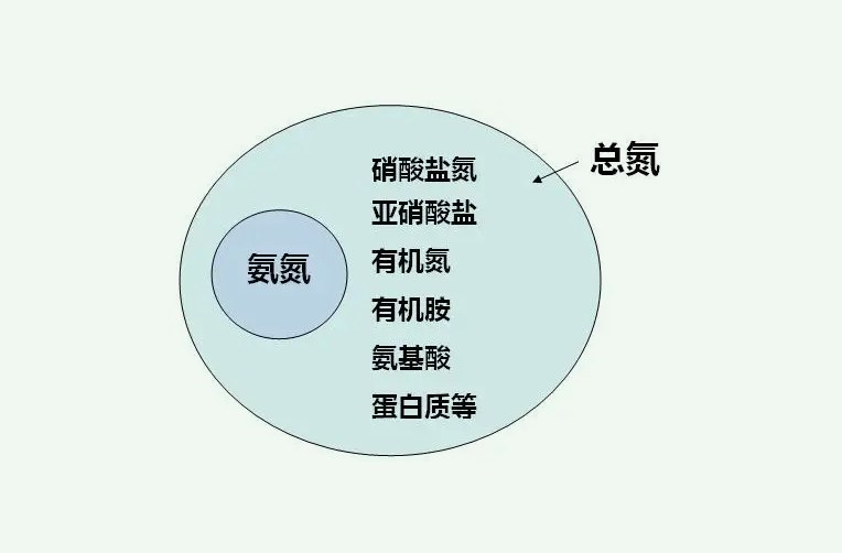 氨氮和总氮的关系是什么(什么是氨氮什么是总氮) 氨氮和总氮的关系是什么(什么是氨氮什么是总氮)