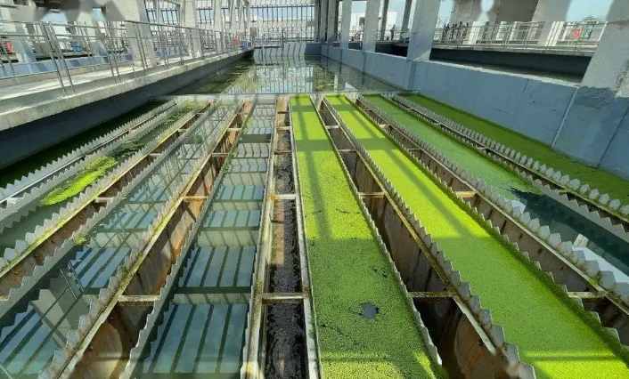 深床滤池的工作原理是什么(深床滤池工艺) 深床滤池的工作原理是什么(深床滤池工艺)