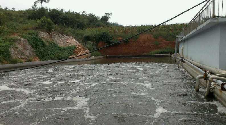 屠宰废水氨氮高怎么降下来（屠宰废水的特点）