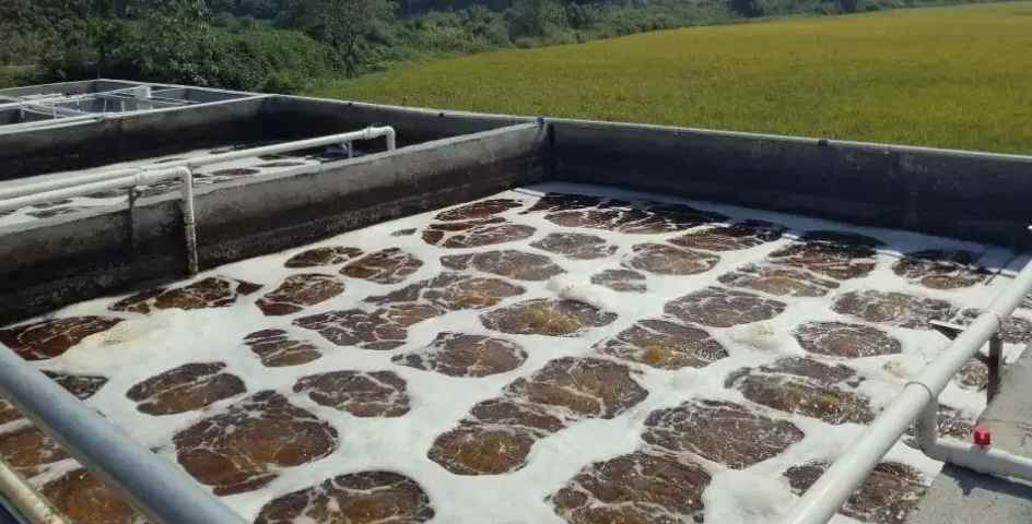 屠宰污水处理设备原理及用途(屠宰废水水质) 屠宰污水处理设备原理及用途(屠宰废水水质)
