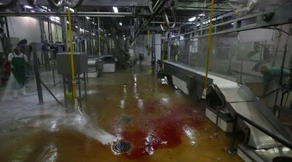屠宰废水处理设备公司哪家好(屠宰污水处理方案) 屠宰废水处理设备公司哪家好(屠宰污水处理方案)