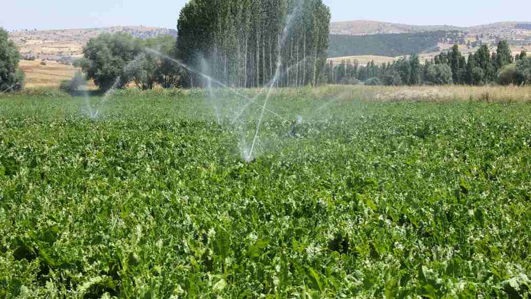 农田灌溉水质标准最新（2022污水排放农田灌溉水质标准）