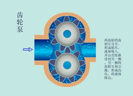 水泵原理图详解（水泵的作用和工作原理）