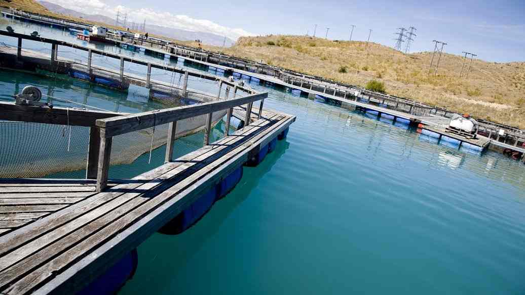化工污水处理设备污水处理流程（工业污水处理设备）
