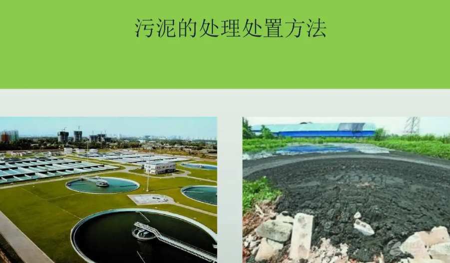 污泥处理工艺流程主要设备(污泥处理系统工艺流程图) 污泥处理工艺流程主要设备(污泥处理系统工艺流程图)