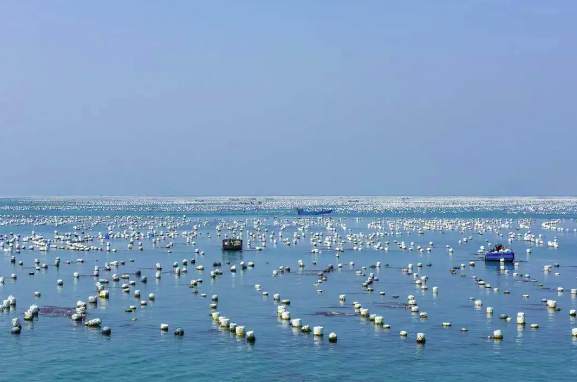 海水养殖废水处理技术要求