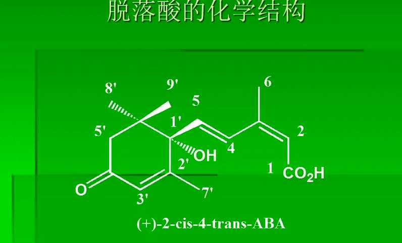 脱落酸的作用和使用方法（脱落酸的作用机制和原理介绍）