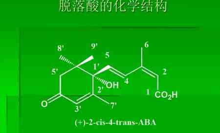 脱落酸的作用和使用方法（脱落酸的作用机制和原理介绍）