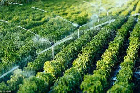 最新农田灌溉水质标准2022（灌溉水质标准几类水排放要求是什么）