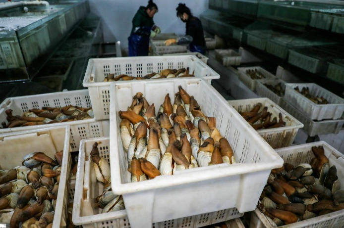 海鲜加工污水处理装置哪里卖